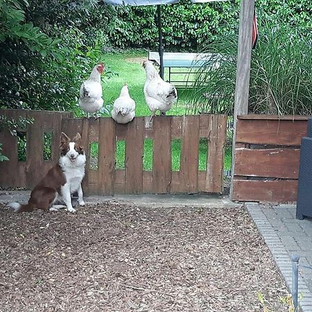 B&B Nieuwleusen Zewnętrze zdjęcie